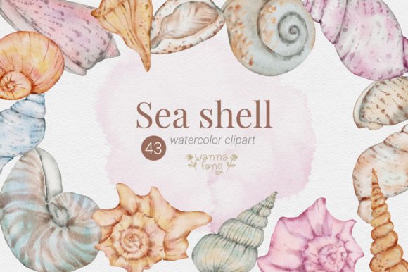 Download Sea Shell Summer Watercolor Clipart, PNG - Summer watercolor Collection