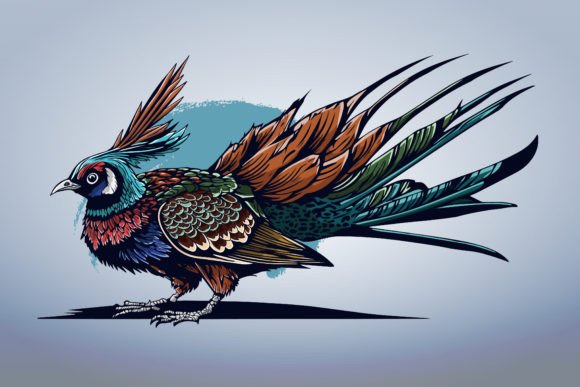 Download Exotic Bird Colorful Beautiful Vector - Exotic bird Collection